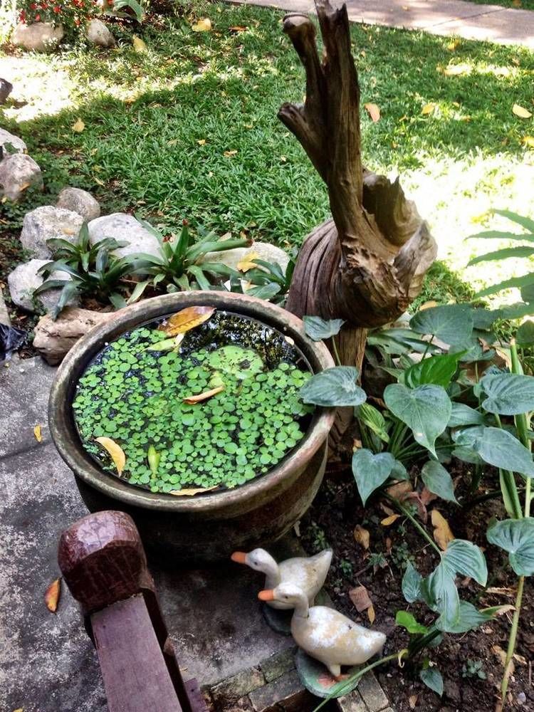 Santitham Guest House Chiang Mai Luaran gambar