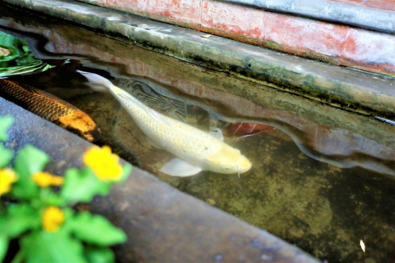 Santitham Guest House Chiang Mai Luaran gambar